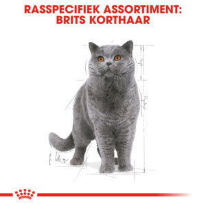 12x Royal Canin British Shorthair Loaf Kattenvoer Nat 85 gr