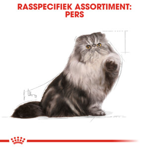 12x Royal Canin Persian Adult Loaf Kattenvoer Nat 85 gr
