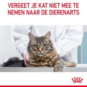 12x Royal Canin Appetite Control Gravy Kattenvoer Nat 85 gr