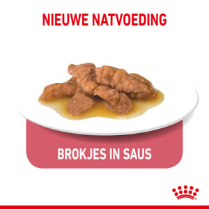 12x Royal Canin Indoor Gravy Kattenvoer Nat 85 gr