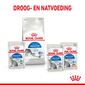12x Royal Canin Indoor Jelly Kattenvoer Nat 85 gr