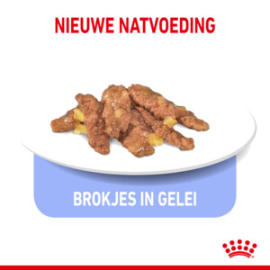 12x Royal Canin Indoor Jelly Kattenvoer Nat 85 gr