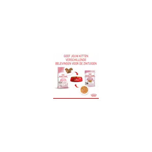 12x Royal Canin Kitten Jelly Kattenvoer Nat 85 gr