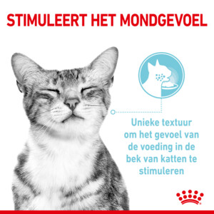 Royal Canin Sensory Multipack Gravy Kattenvoer Nat 12x85 gr
