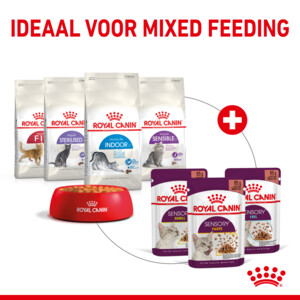 12x Royal Canin Sensory Smell In Gravy Kattenvoer Nat 85 gr
