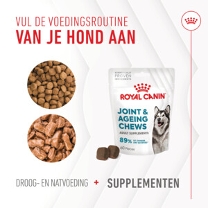5x Royal Canin Supplement Joint & Ageing   Supplement 240 gr