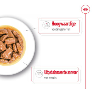 10x Royal Canin Maxi Adult Hondenvoer Nat 140 gr
