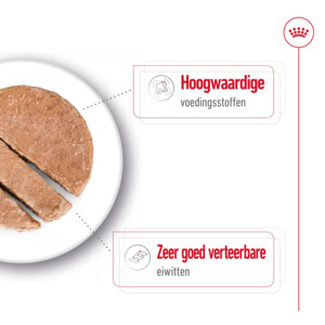 12x Royal Canin Maxi Adult Hondenvoer Nat 410 gr