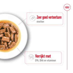 40x Royal Canin Maxi Ageing 8+ Hondenvoer Nat 140 gr