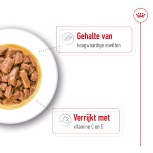 40x Royal Canin Medium Adult Hondenvoer Nat 140 gr