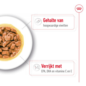 10x Royal Canin Medium Ageing 10+ Hondenvoer Nat 140 gr