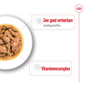 48x Royal Canin Mini Adult Hondenvoer Nat 85 gr