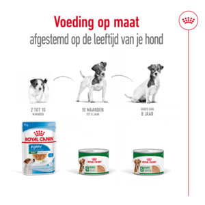 12x Royal Canin Mini Adult Hondenvoer Nat 195 gr