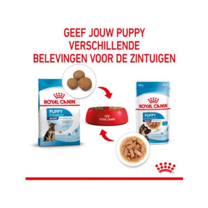 10x Royal Canin Maxi Puppy Hondenvoer Nat 140 gr