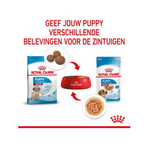 10x Royal Canin Medium Puppy Hondenvoer Nat 140 gr