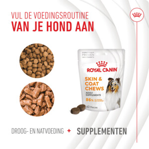 Royal Canin Supplement Skin & Coat 240 gr