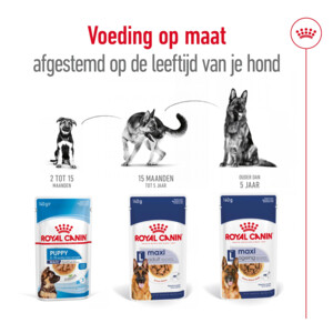 10x Royal Canin Maxi Ageing 8+ Hondenvoer Nat 140 gr