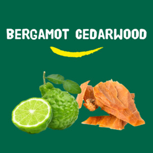 6x Happy Earth 100% Natuurlijke Douchegel Bergamot Cedarwood - 20.97 euro