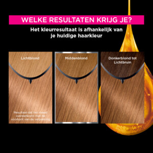 Garnier Olia Permanente Haarkleuring 8.31 Goud Asblond - 16.99 euro