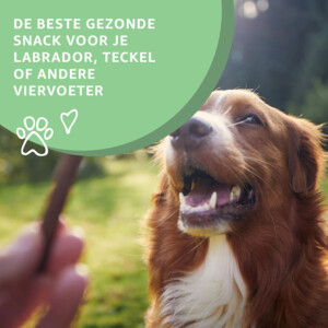 Woef Woef Hondensnack Zalmhuid M 75 gr