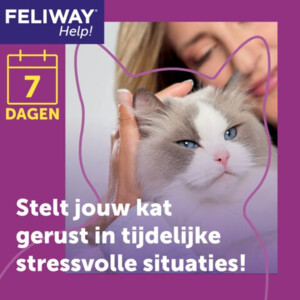 Feliway Help! Starterset Verdamper + Navulling 