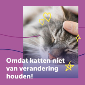 Feliway Help! Starterset Verdamper + Navulling 
