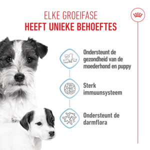 Royal Canin Hondenvoer Droog Mother & Baby Mini Starter 8 kg