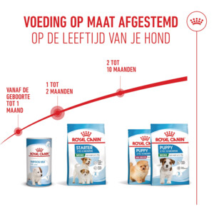 Royal Canin Hondenvoer Droog Mother & Baby Mini Starter 8 kg