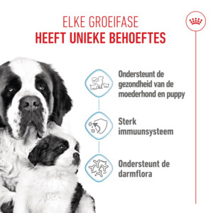 Royal Canin Hondenvoer Droog Mother & Baby Giant Starter 3.5 kg