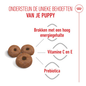 Royal Canin Hondenvoer Droog Mother & Baby Giant Starter 3.5 kg