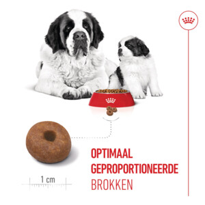 Royal Canin Hondenvoer Droog Mother & Baby Giant Starter 3.5 kg