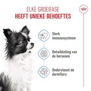 Royal Canin Hondenvoer Droog  X-Small Puppy 1,5 kg