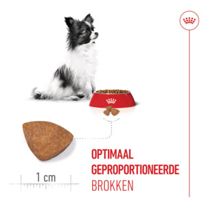 Royal Canin Hondenvoer Droog  X-Small Puppy 1,5 kg
