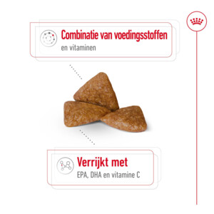 Royal Canin Hondenvoer Droog X-Small Ageing 12+ 500 gr