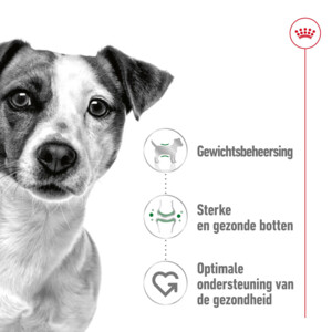 Royal Canin Hondenvoer Droog Mini Adult 2 kg
