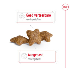 Royal Canin Hondenvoer Droog Mini Adult 2 kg