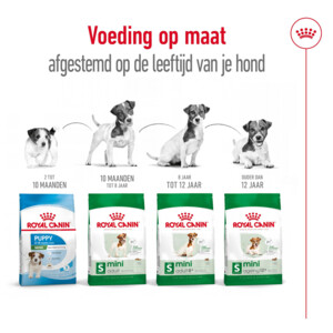 Royal Canin Hondenvoer Droog Mini 8+ 800 gr