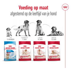 Royal Canin Hondenvoer Droog Medium Adult 4 kg