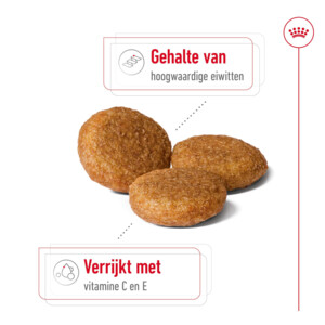 Royal Canin Hondenvoer Droog Medium Adult 10 kg