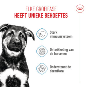 Royal Canin Hondenvoer Droog Maxi Puppy 10 kg