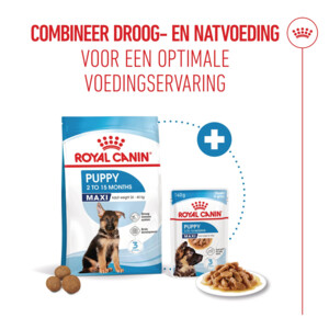 Royal Canin Hondenvoer Droog Maxi Puppy 10 kg
