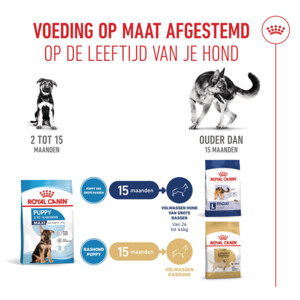 Royal Canin Hondenvoer Droog Maxi Puppy 10 kg