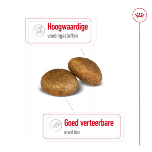 Royal Canin Hondenvoer Droog Maxi Adult 10 kg