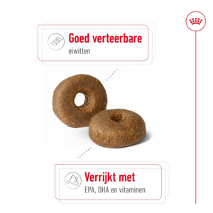 Royal Canin Hondenvoer Droog Maxi Ageing 8+ 3 kg
