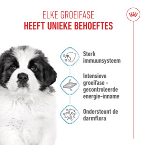 Royal Canin Hondenvoer Droog Giant Puppy 1 kg