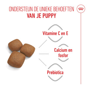 Royal Canin Hondenvoer Droog Giant Junior 3,5 kg