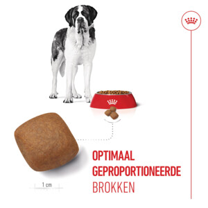 Royal Canin Hondenvoer Droog Giant Junior 3,5 kg