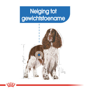 Royal Canin Hondenvoer Droog Light Weight Care Medium 3 kg