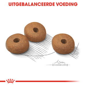 Royal Canin Hondenvoer Droog Light Weight Care Medium 3 kg