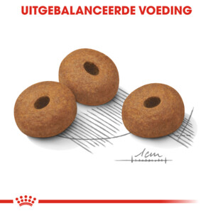 Royal Canin Hondenvoer Droog Light Weight Care Maxi 3 kg